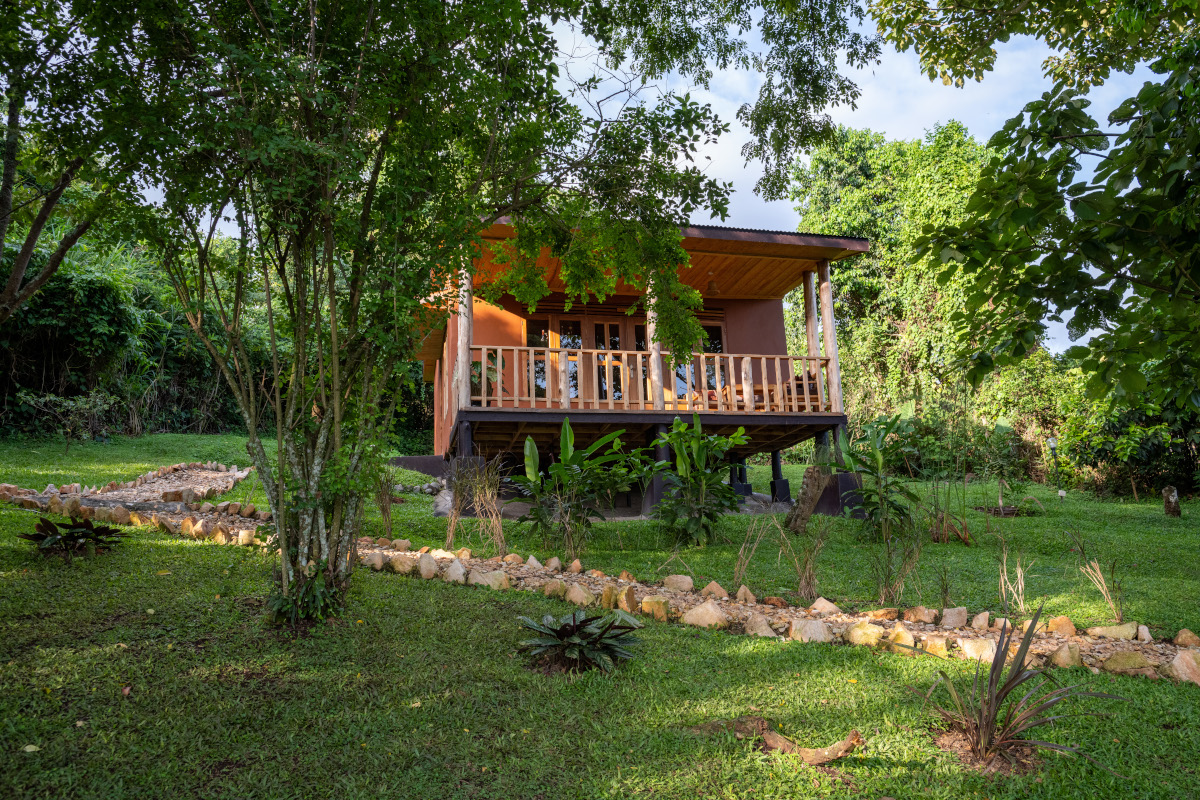 Cottages or bandas at Chimpanzee Forest Lodge