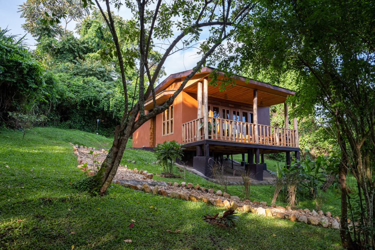 Cottages or bandas at Chimpanzee Forest Lodge