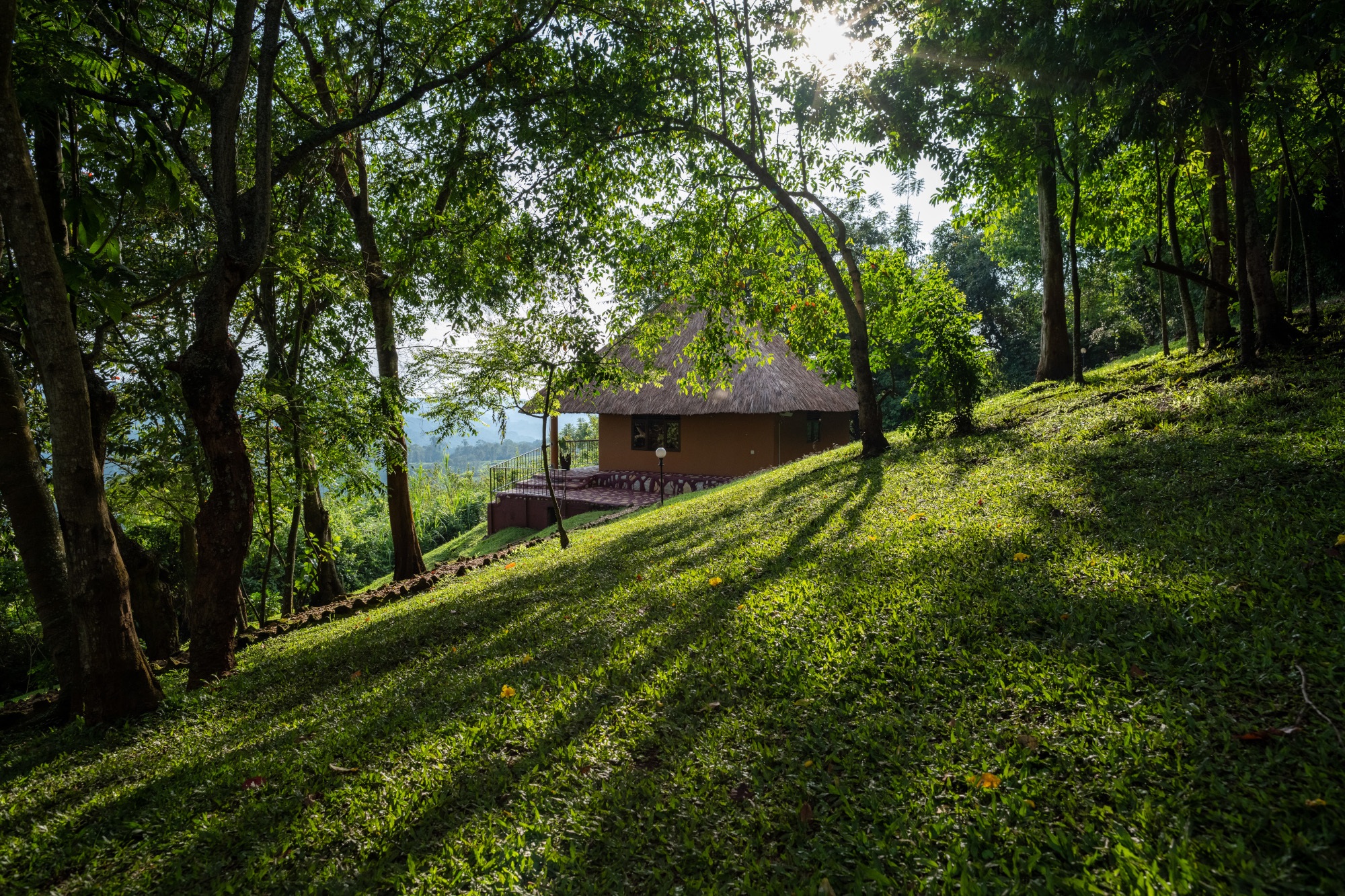 Cottages or bandas at Chimpanzee Forest Lodge