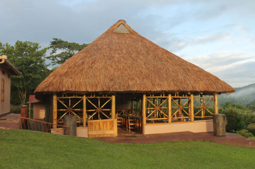 chimpanzee forest lodge front-view