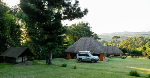chimpanzee forest lodge camping